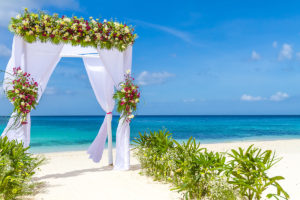 Cocoon - Beach Wedding
